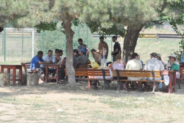 Grătarele în parc, 